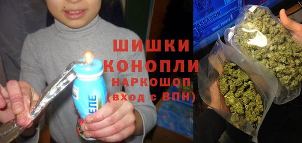 spice Беломорск